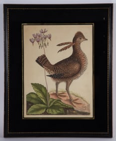 EARLY PARTRIDGE PRINT