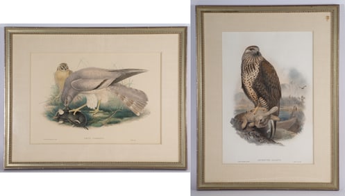 RICHTER BIRD LITHOS(2)