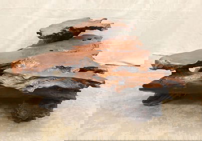 DRIFTWOOD STYLE COFFEE TABLE