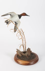 CANVAS BACK DUCK CARVING