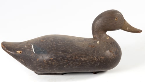 BLACK DUCK DECOY