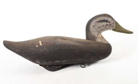 BLACK DUCK DECOY