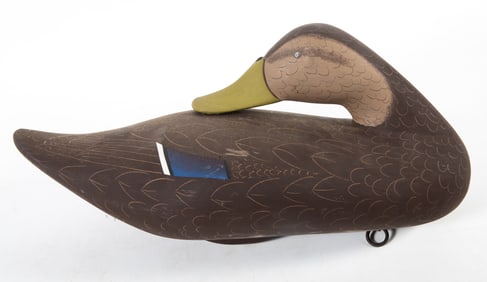 BLACK DUCK DECOY