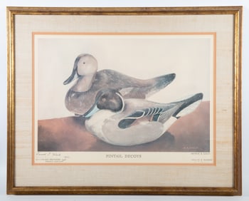 WARD BROS PINTAIL PRINT