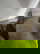 item-208966172=8