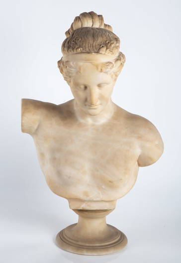 Marble Busts