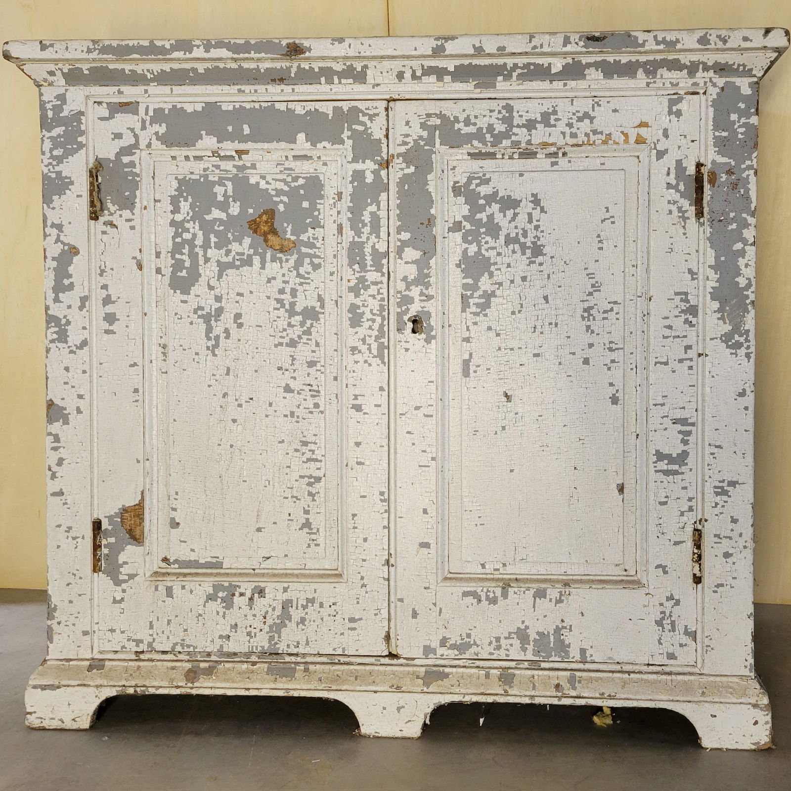 PAINTED TWO DOOR CUPBOARD (1 of 6)