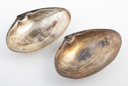 (2) STERLING CLAM SHELL DISHES