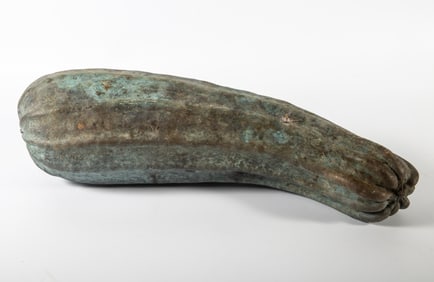 BRONZE SQUASH