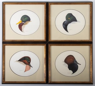 G. BARBER DUCK WATERCOLORS (4)