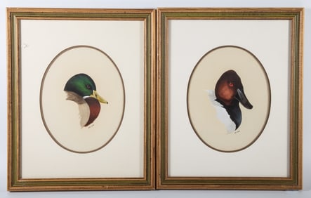 ART LAMAY DUCK WATERCOLORS (2)