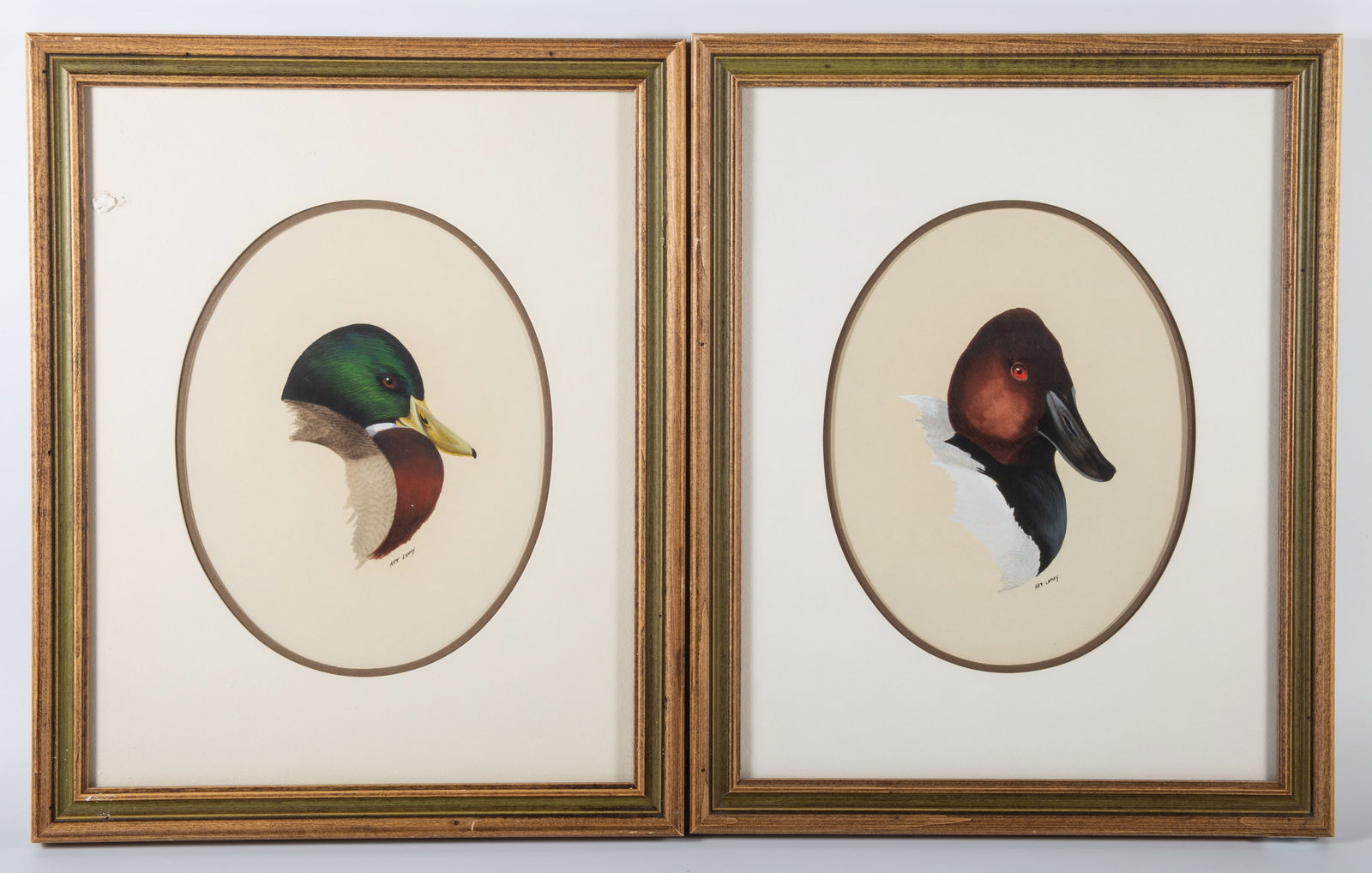 ART LAMAY DUCK WATERCOLORS (2) (1 of 4)