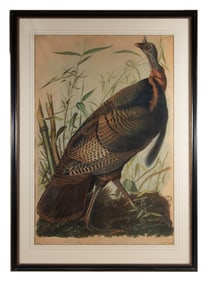 AUDUBON TURKEY CHROMOLITHO