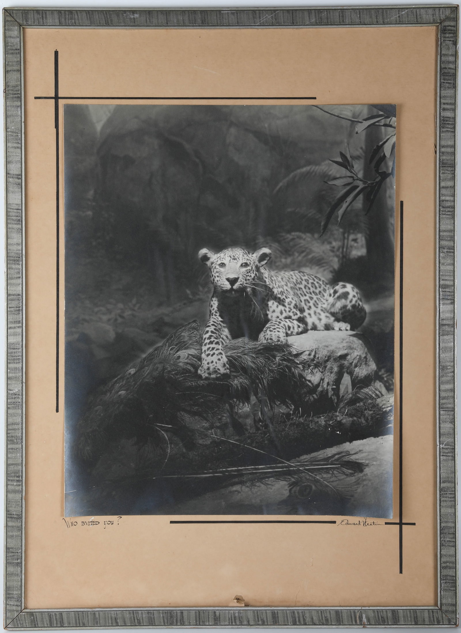 ORIGINAL PHOTOGRAPH - EDWARD WESTON: Signed lower right, titled lower left "Who Invited You?", uncurated; image: 28" x 19 1/2"; frame: 29 1/2" x 21 1/2", G-VG