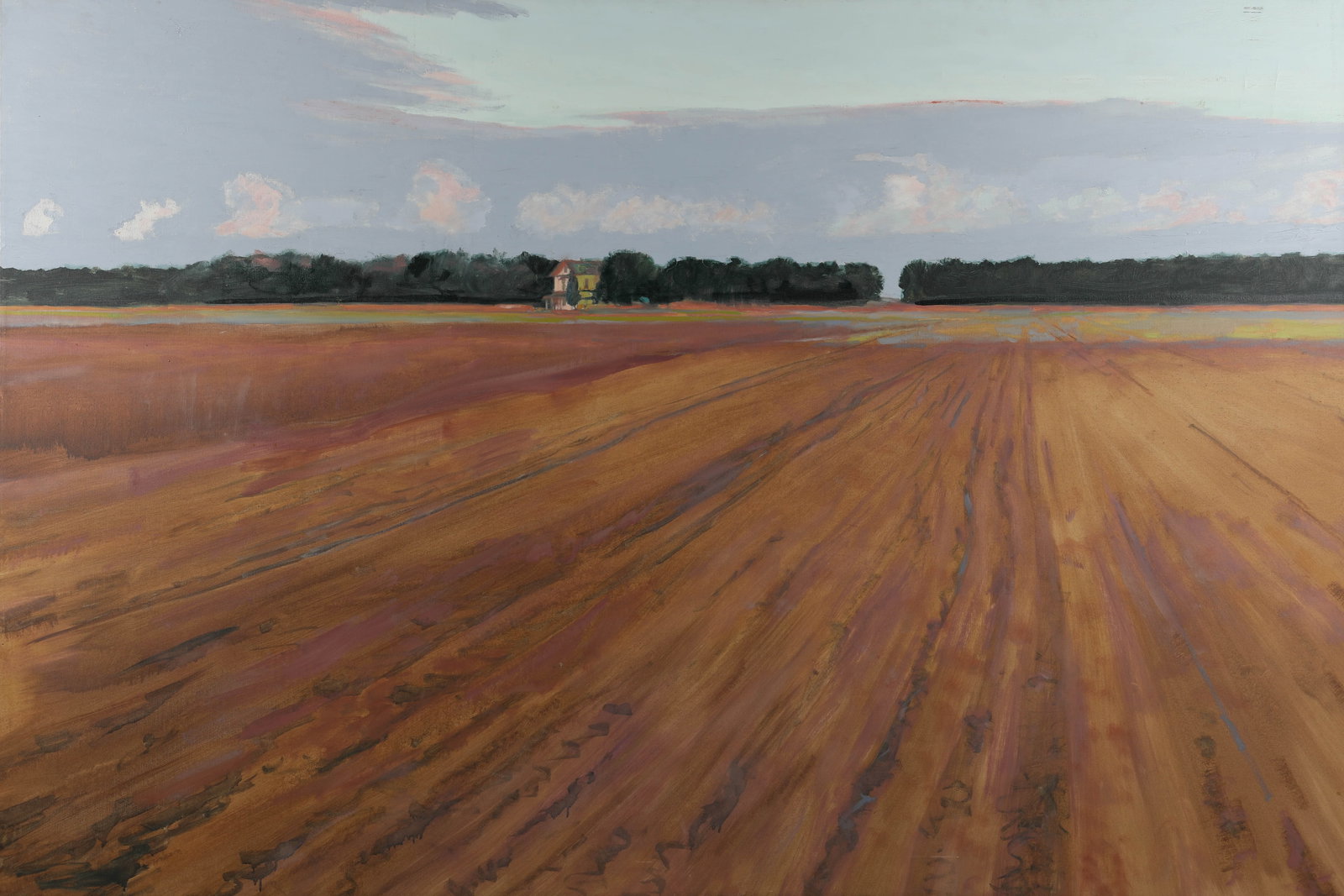 LARGE AGRICULTURAL LANDSCAPE - 2