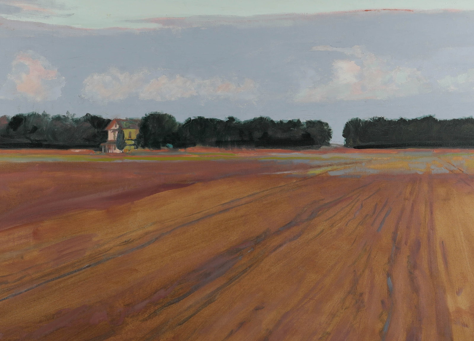 LARGE AGRICULTURAL LANDSCAPE - 3