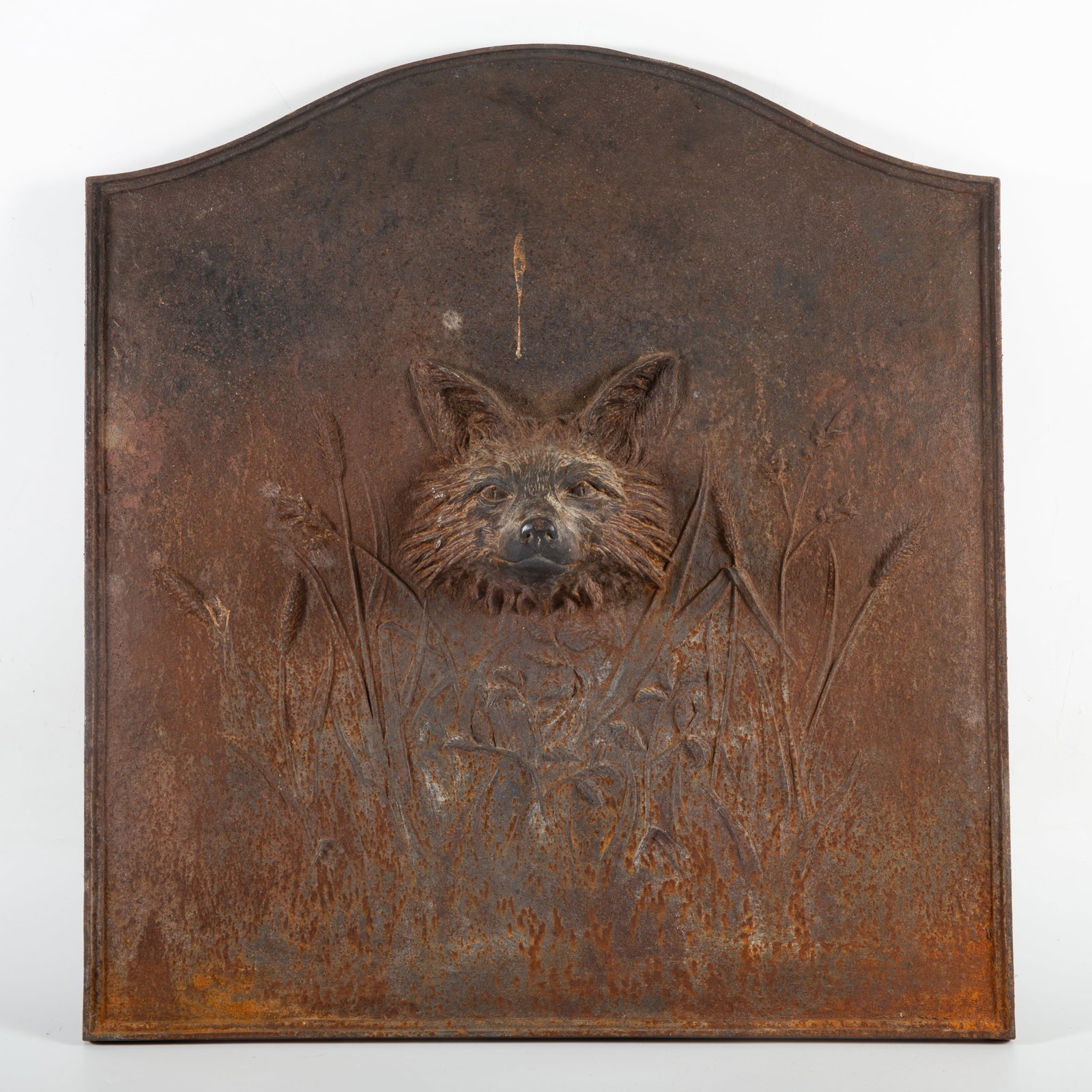 FOX HEAD FIREBACK (1 of 4)