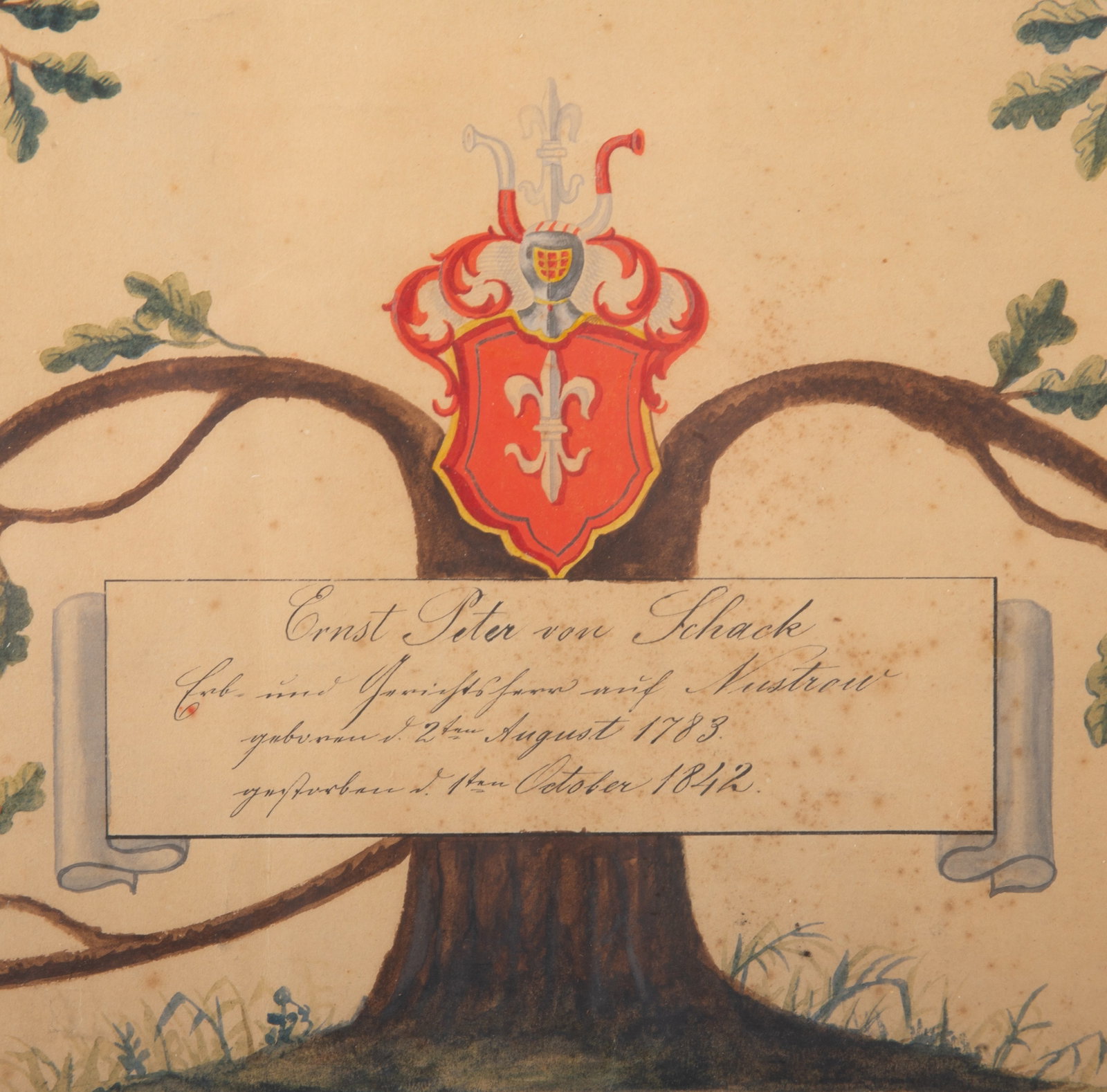 EARLY FAMILY TREE - 2