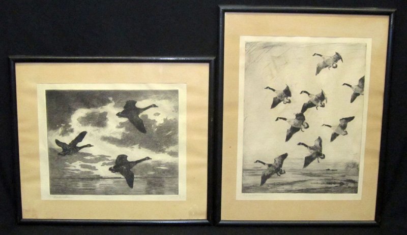 FRANK BENSON WATERFOWL ETCHINGS (2): Pencil signed; matted and framed; light toning; largest 15" x 2", G