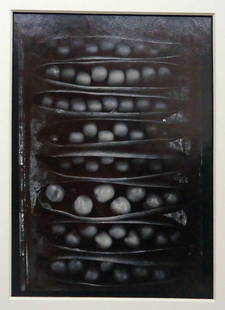 OLIVIA PARKER "PODS OF CHANCE" PHOTOGRAPH: Signed in margin; gelatin silver selenium toned print; negative 1977, print 1977; #4; matted and mounted; visual image 9 1/2" x 7 1/2", EX