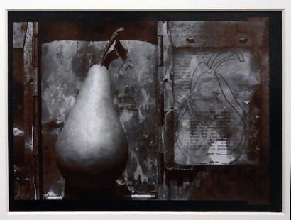 OLIVIA PARKER "BOSC IN A BOX" PHOTOGRAPH: Gelatin silver selenium toned print signed in margin; 1977 negative, printed 1980 - #19; matted and mounted; 8" x 9", EX