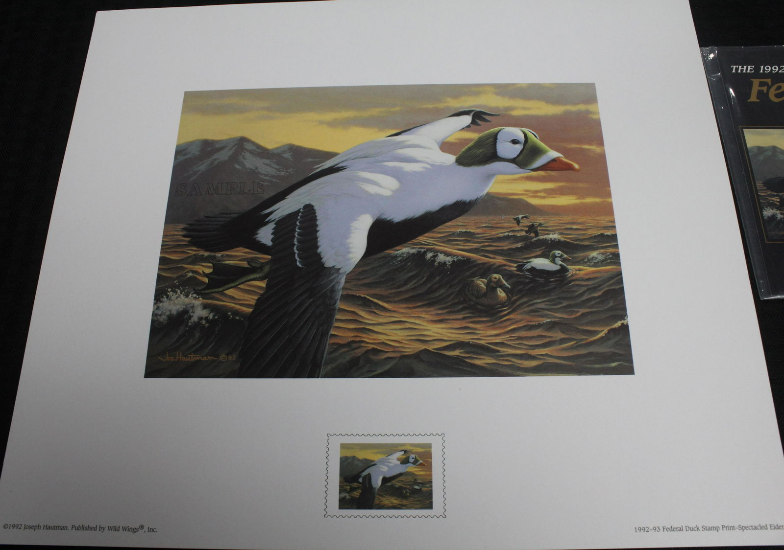 US Duck Stamp SC#RW59 XFS PSE Artist PF/AAP card (1 of 5)