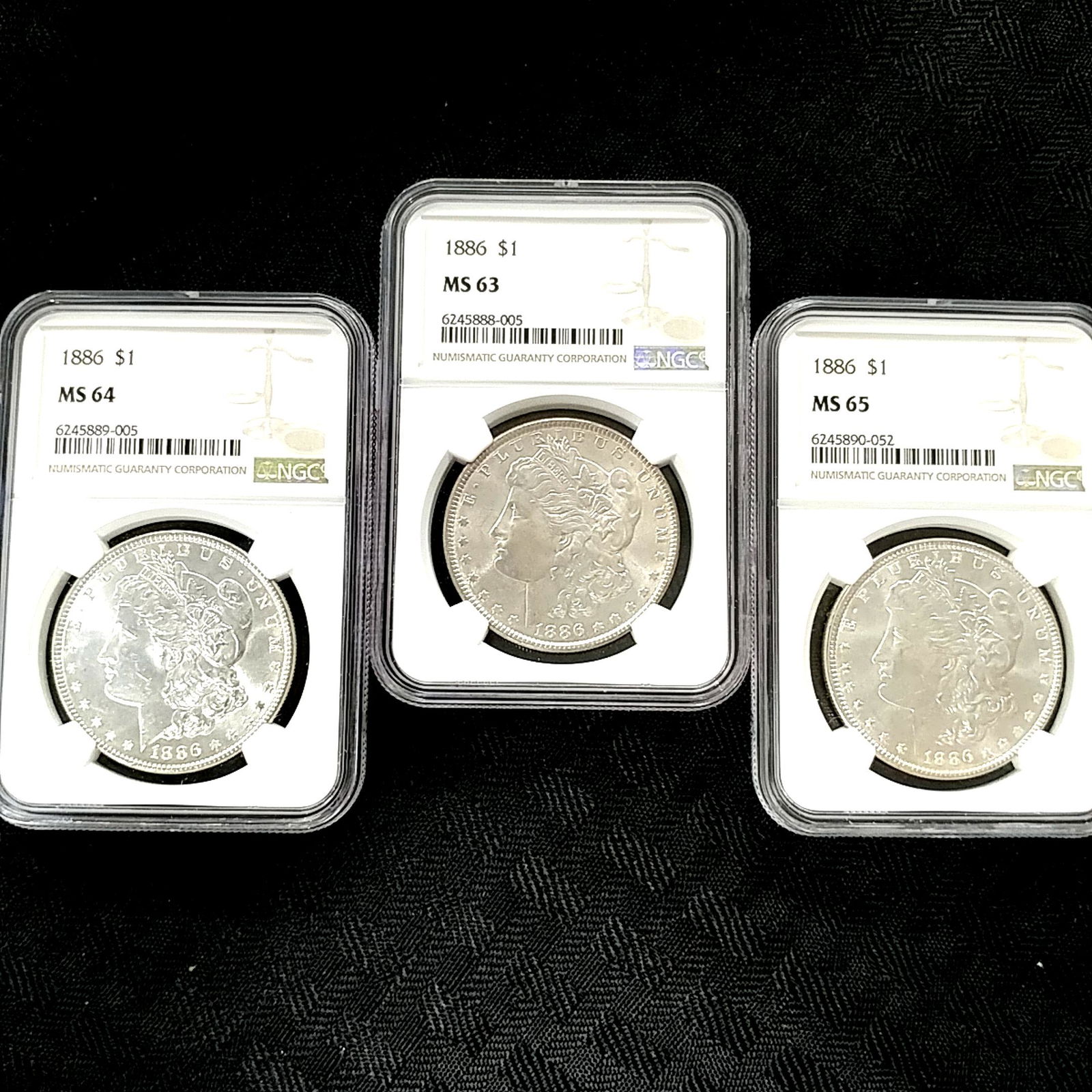 1886 Morgan Dollar 3 Coin Grading set NGC MS63-65 (1 of 8)