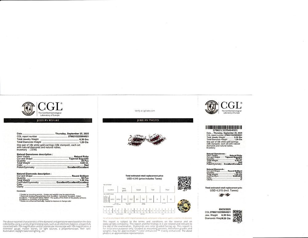 Ruby and Diamond Earrings - 5