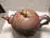 item-135844105=2