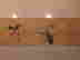 item-135844240=5