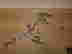 item-135844240=8