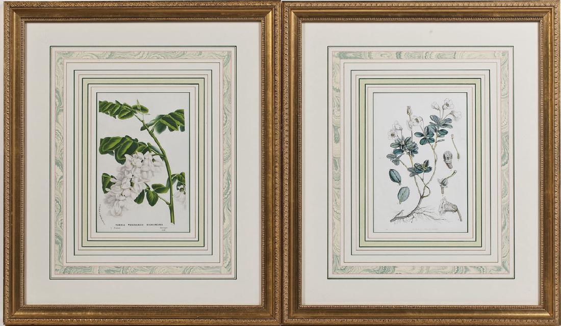 Louis Van Houtte (Belgian, 19th Century) (1 of 7)