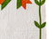 Tulip Applique Quilt - 4