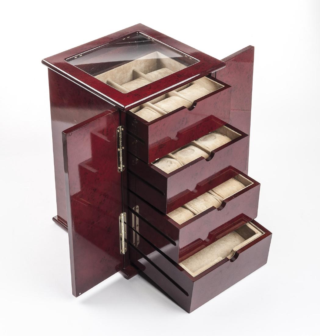 Watch Display Case (1 of 1)