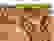 item-59499701=3