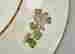 item-62051239=2