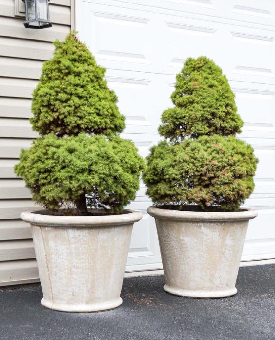 Pair of Concrete Planters (1 of 1)