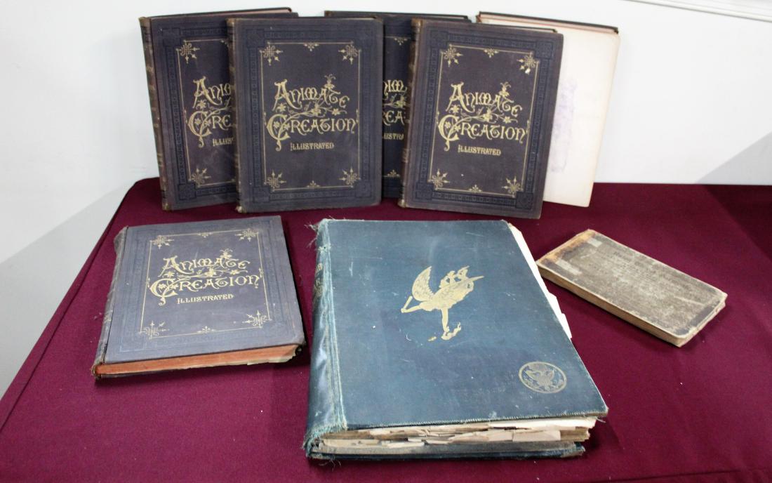 8 Books incl Official & Illustrated War Record (1 of 6)