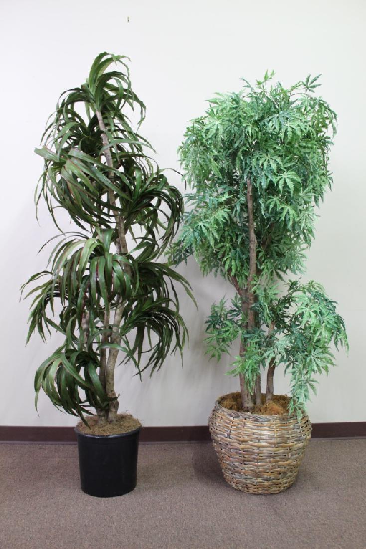 2 Artificial Plants (1 of 1)