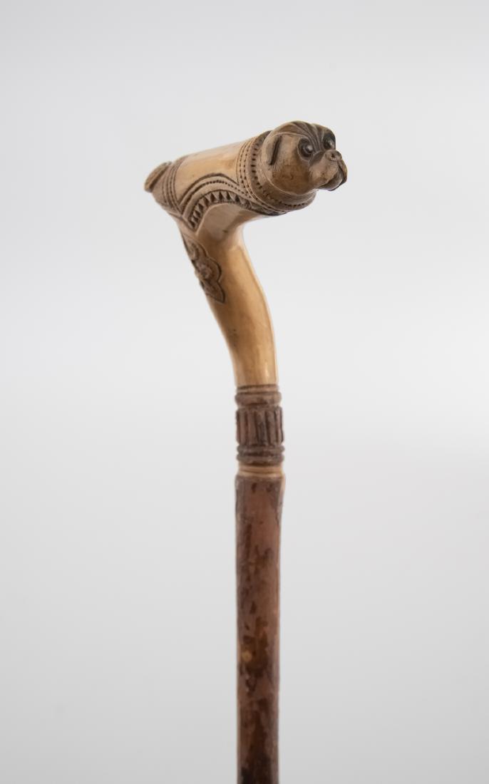 Intricately Carved Dog Head Cane (1 of 4)