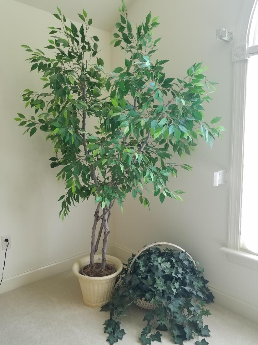 Artificial Tree and Plant (1 of 1)