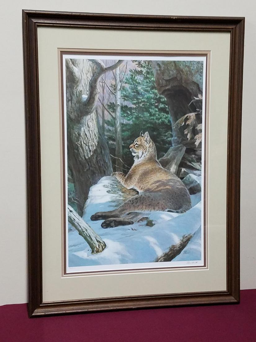 Ned Smith "Big Woods Bobcat" Print (1 of 3)