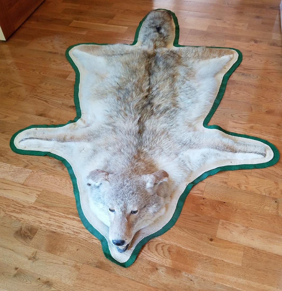 Coyote Rug: 40" X 63"