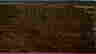 item-74414491=3