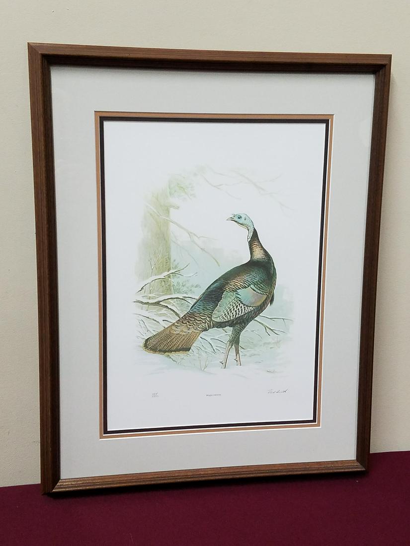 Ned Smith "Regal Hermit" Print (1 of 4)