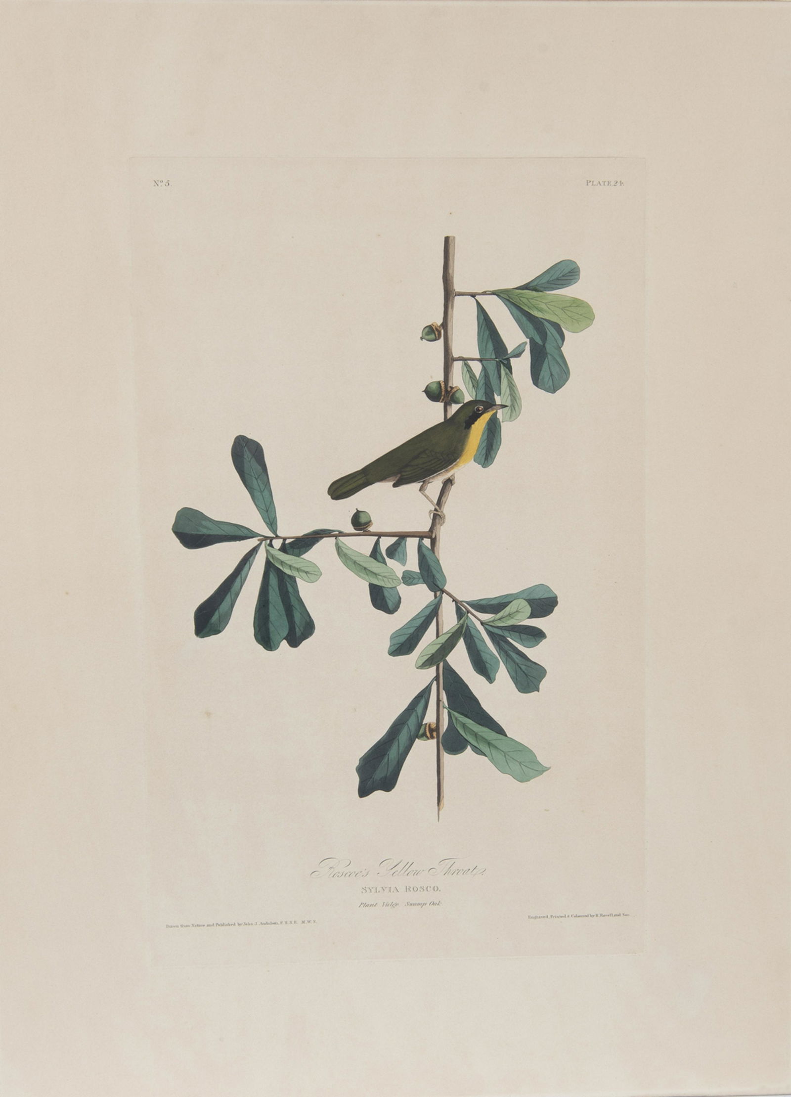 John James Audubon (1785-1851) (1 of 6)
