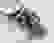 item-75002074=2
