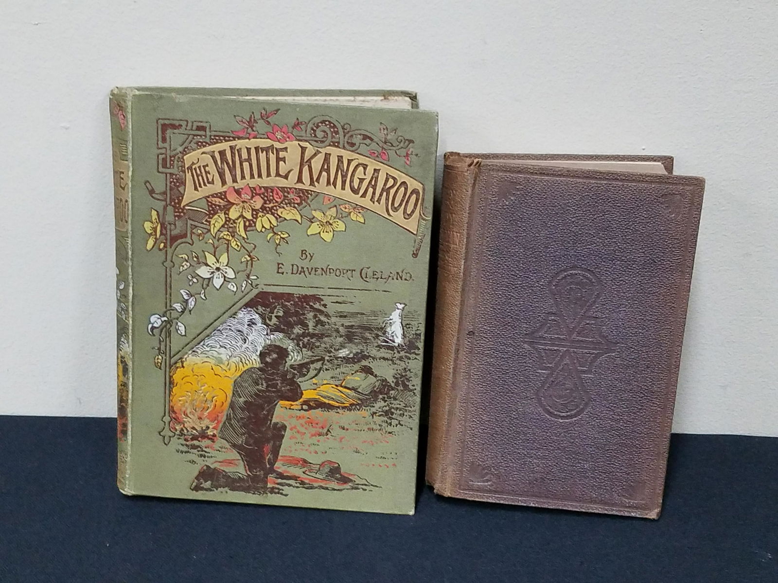 Diary of Kitty Trevylyan and The White Kangaroo (1 of 10)