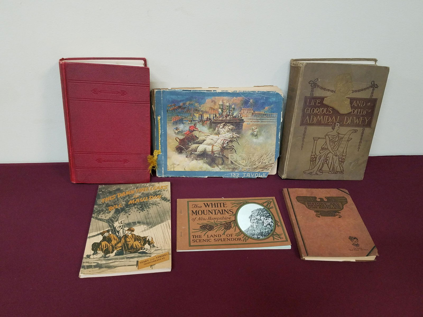 6 Books incl. Life and Glorious Deeds (1 of 10)