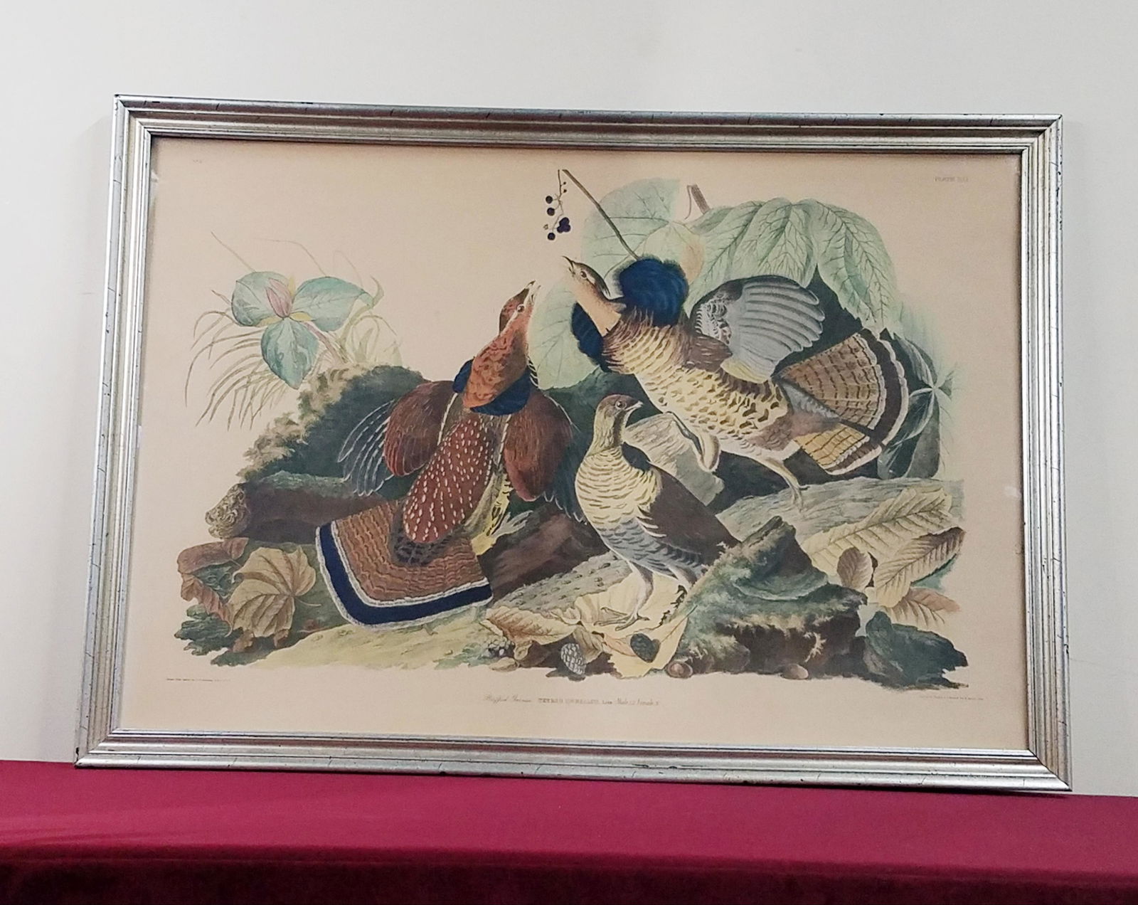 After Audubon "Ruffed Grouse" Print (1 of 4)